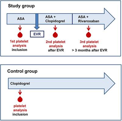 Differential Inhibition of Platelet Reactivity by Dual Therapy With Aspirin and Low-Dose Rivaroxaban in Peripheral Arterial Disease: A Pilot Study